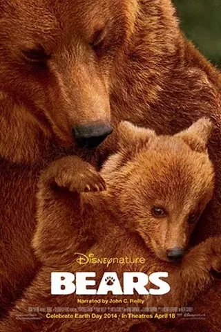 Image: Bears
