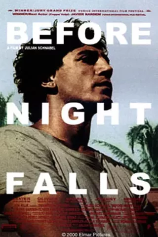 Image: Before Night Falls