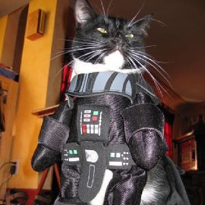 CAT FRIDAY: Star Wars edition