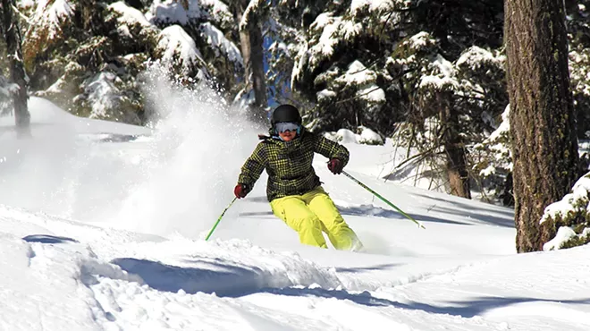 Image: In Full Swing