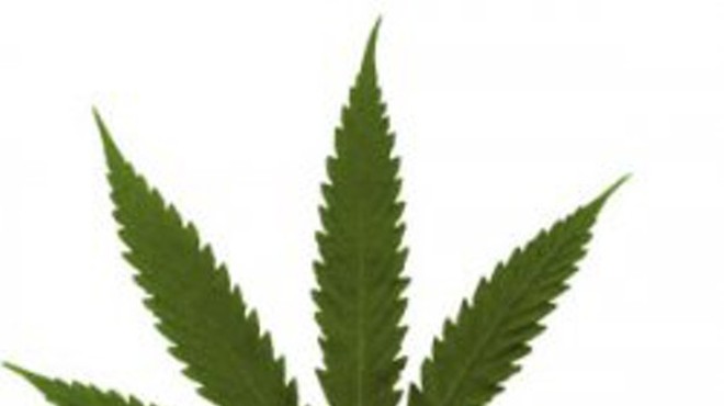 Image: Liquor Control Board revises medical marijuana recommendations