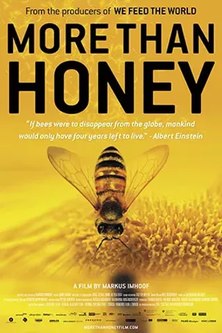 Image: More Than Honey