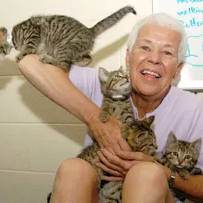 Image: MORNING HEADLINES: Spooks, corpses and cats