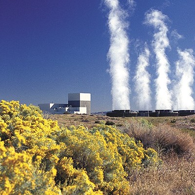Newsweek on the nuclear power plant we featured in this week's issue