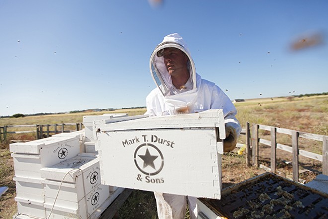 Photos: Local beekeepers and their hives
