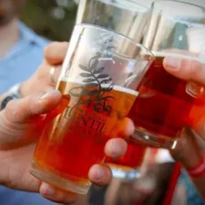 Image: Rachael Ray Promotes Lentil Festival