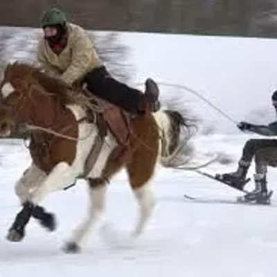 Image: Skijoring, Anyone?