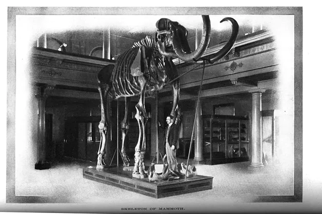 Image: Inlander Histories
