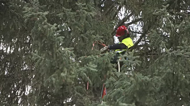 Image: PHOTOS: U.S. Capitol Christmas Tree Cutting