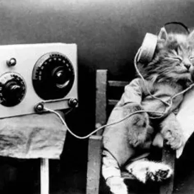 Image: THIS WEEKEND IN MUSIC: Begin! Spiders! Appleseed!