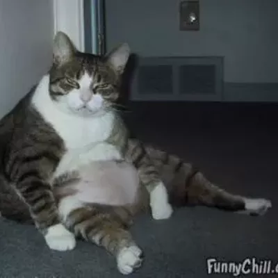 Image: THIS WEEKEND IN MUSIC: Nude! Wii Rock! Beardo!