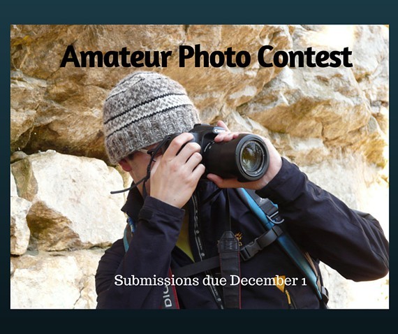 4f6fd212_inlc_amateur_photo_contest_2015_1_.jpg