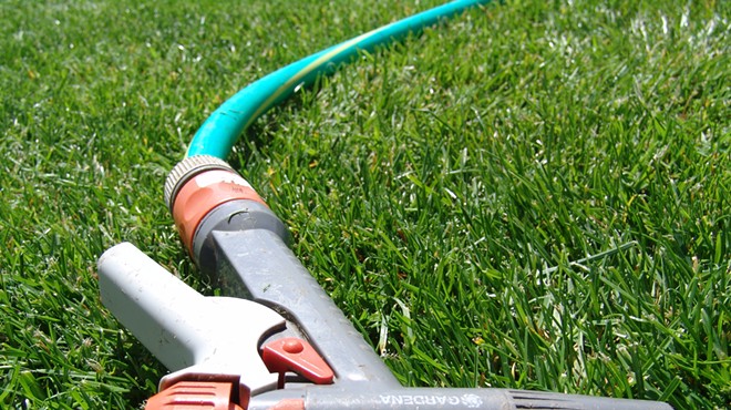 Spokane offers up to $500 for homeowners who replace their lawn with drought-resistant plants