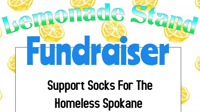 Lemonade Stand Fundraiser