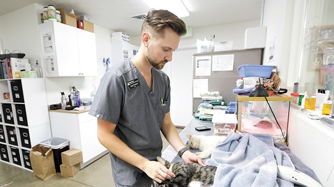 More than a decade ago, Kyle Fortune found &#10;his place at the Spokane Humane Society