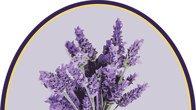 Growing and Maintaining Lavender