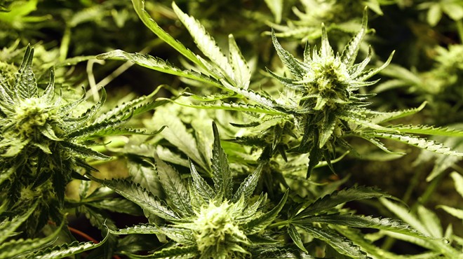 Senate passes bill to vacate misdemeanor marijuana convictions