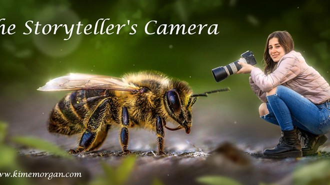 The Storyteller’s Camera