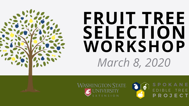 Fruit Tree Selection Workshop