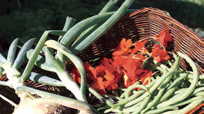 Local Harvest: Sustainable Foods