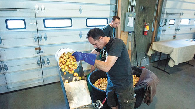 Image: Spokane Scrumpy Cider release party for Second Harvest