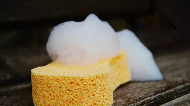 Image: Cleaning a Dirty Sponge Only Helps Its Worst Bacteria, Study Says