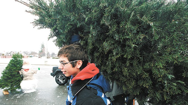 Christmas Tree Recycling and more