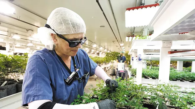 Image: The top weed producer in the state is &#10;in Spokane Valley. They gave us a tourBy Mitch Ryals