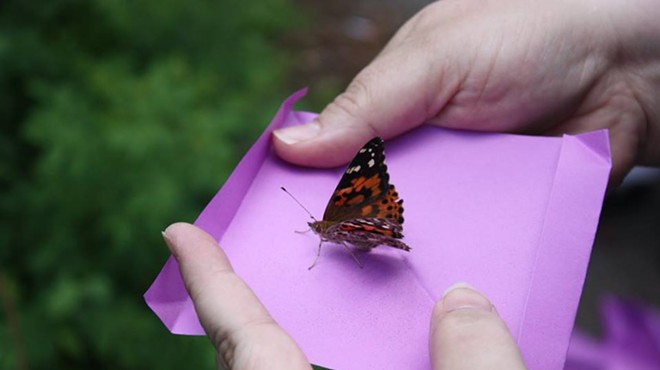 Butterfly Release for Lupus Awareness