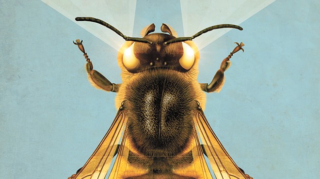 Can we harness the microbes in bee guts to create stronger bees?