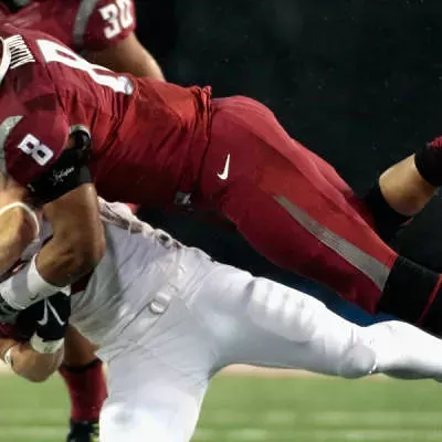 Image: Yeah, WSU lost to Stanford, but you have to hand it to the Cougar faithful