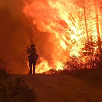 Image: It's early June, and already the DNR has raised wildfire risk in Eastern Washington