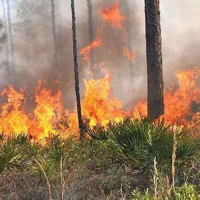 Image: Wildfires rip through region, woman survives shooting and other morning headlines