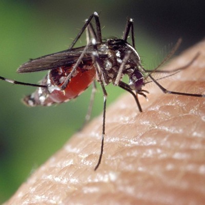 West Nile virus is here, White House says "No!" to Puerto Rico, morning headlines
