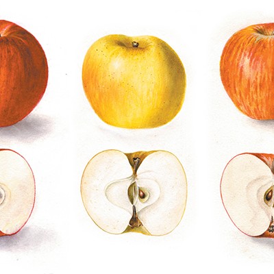 Image: Exploring the Inland Northwest's lasting, historic ties to the versatile and durable&nbsp;apple