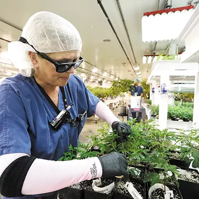 Image: The top weed producer in the state is &#10;in Spokane Valley. They gave us a tourBy Mitch Ryals