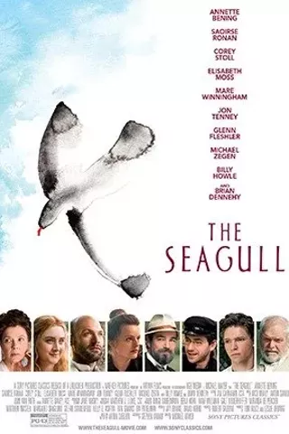Image: The Seagull