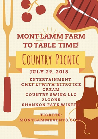 Country Picnic