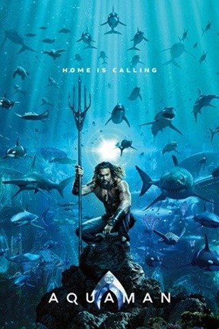 Aquaman: The IMAX 2D Experience