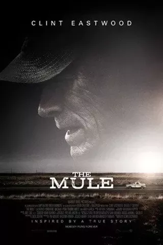 Image: The Mule