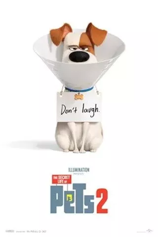 Image: The Secret Life of Pets 2 3D