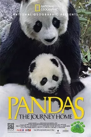 Image: Pandas: The Journey Home 3D