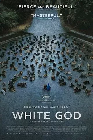 Image: White God