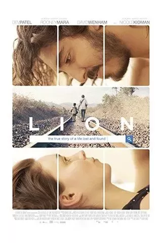Image: Lion