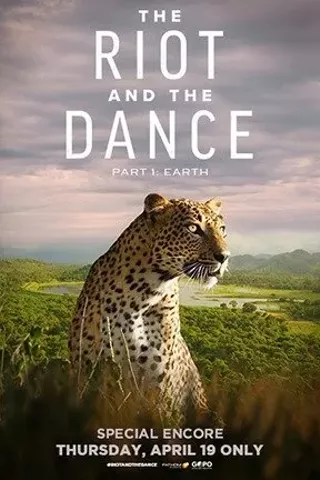Image: The Riot and the Dance
