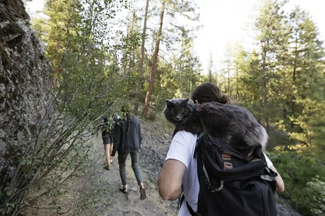 Image: 2018 Pet Issue