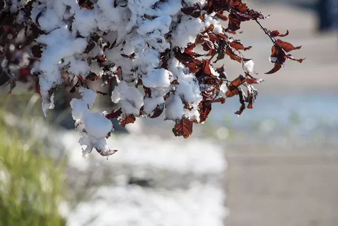 Image: Scenes from the Oct. 9 snow day