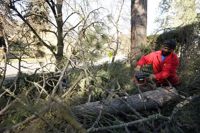 Image: Scenes from Windstorm 2015