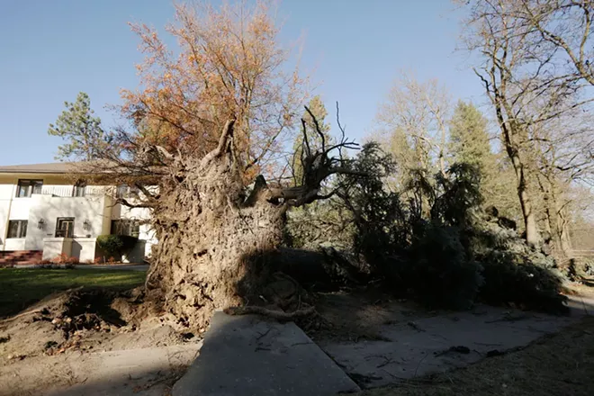 Image: Scenes from Windstorm 2015
