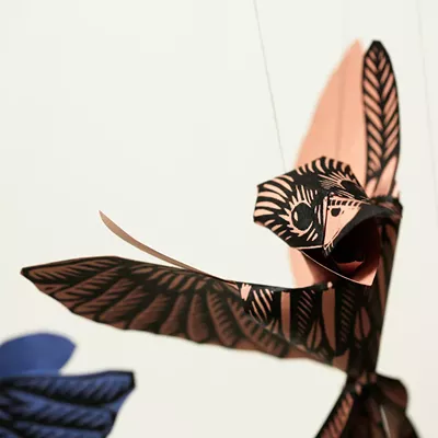 Image: Artist Reinaldo Gil Zambrano and his Bird Murmuration